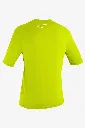 3550-187-b.webp