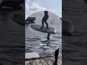 youtube - [Video]