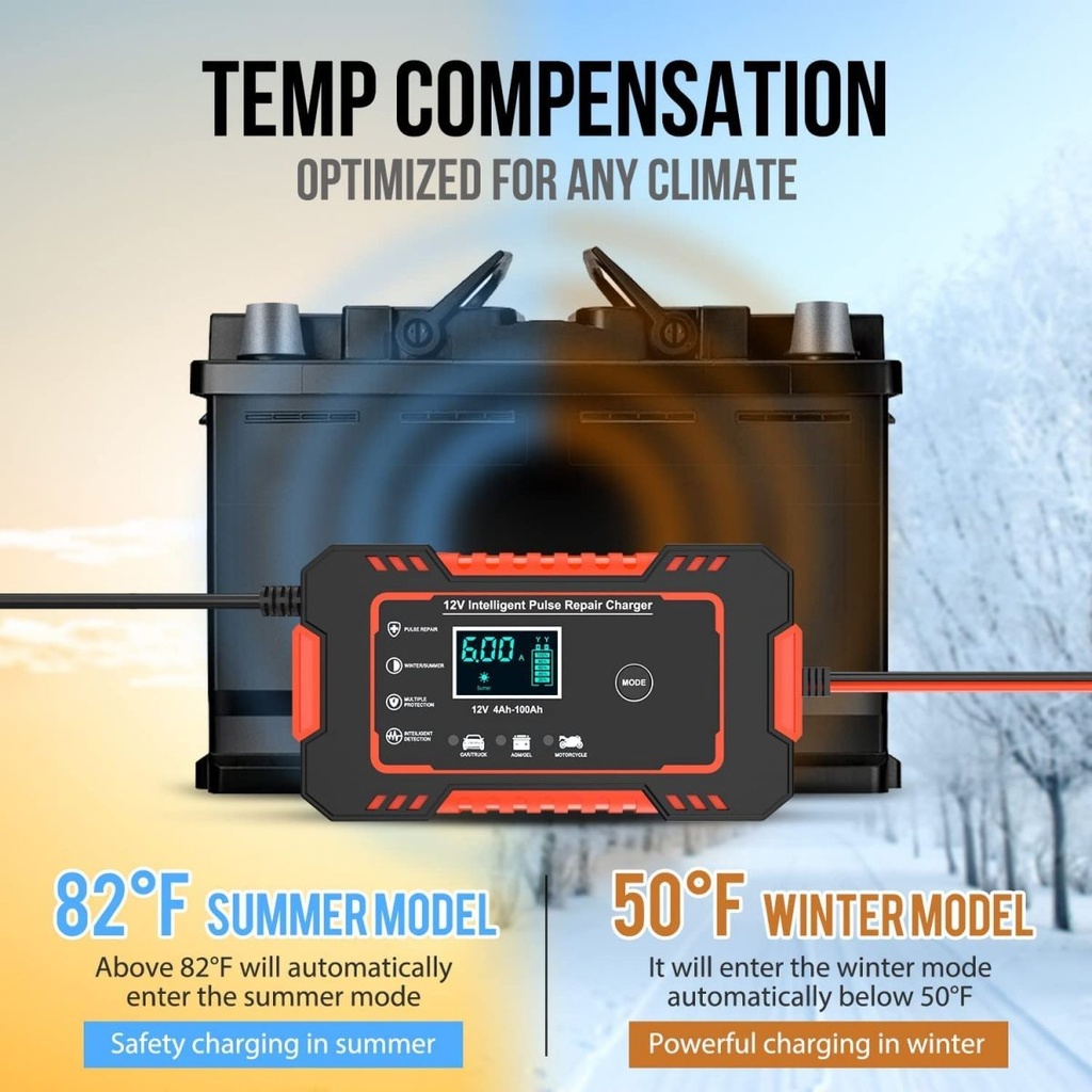 D. World per Auto Moto 12V 6A 5A 4A Caricabatterie Intelligente per Batteria Caricabatterie per Auto 12V Desulfator Con Compensazione Della Temp F