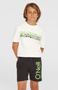 O'Neill Original Cali 14' Swimshorts Black Out - official view 1