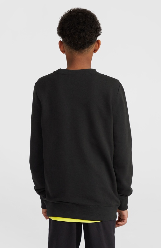 O'Neill Logo Crew Boys Sea Green 140 F - official view 2