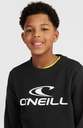 O'Neill Logo Crew Boys Nugget 140 F - official view 1