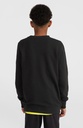O'Neill Logo Crew Boys Nugget 140 F - official view 2