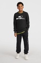 O'Neill Logo Crew Boys Nugget 140 F - official view 3