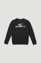 O'Neill Logo Crew Boys Nugget 140 F - official view 4