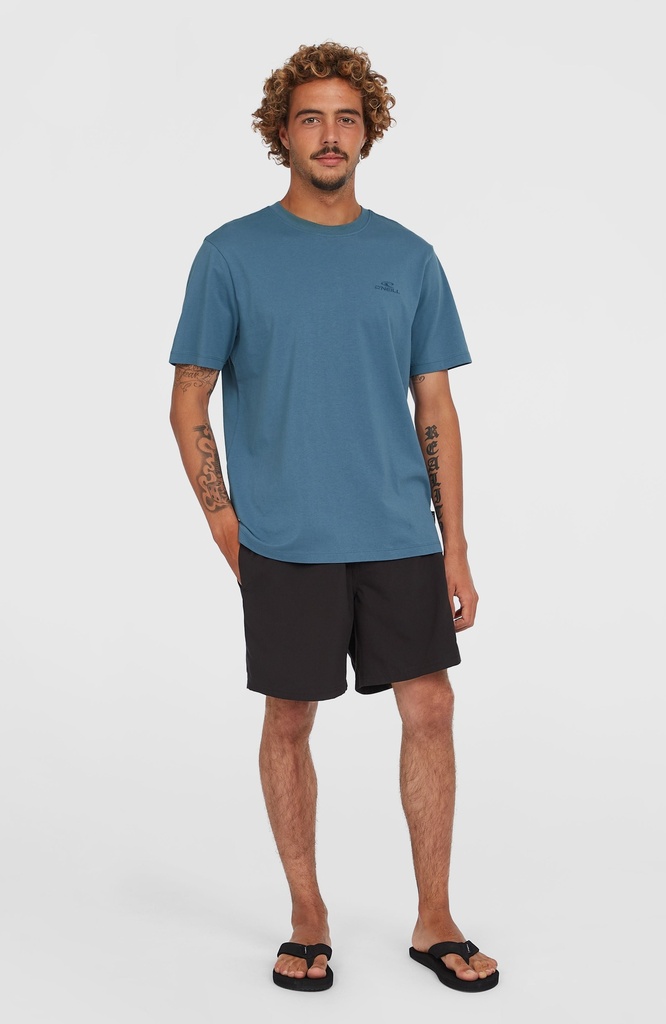 O'Neill Cali 16'' Swimshorts Victoria Blue - official view 3