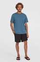 O'Neill Cali 16'' Swimshorts Victoria Blue - official view 3