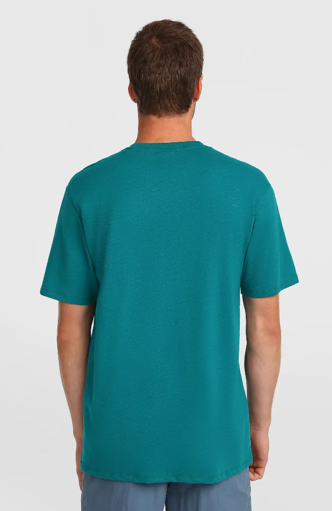 2850369_15097_3_MODEL_862.webp