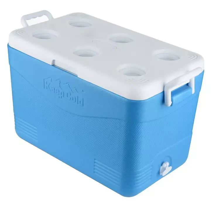 Cosmoplast picnic Cooler 46LTR