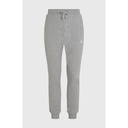 O'Neill Small Logo Sweatpants - Silver Melee