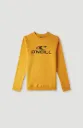 O'Neill Logo Crew Boys Nugget 140 F