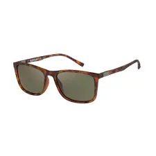 CAT Sungless Brown CPS-8513-102P F