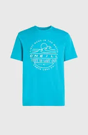 O'Neill Jack O'Neill Muir T-Shirt Men Neon Blue